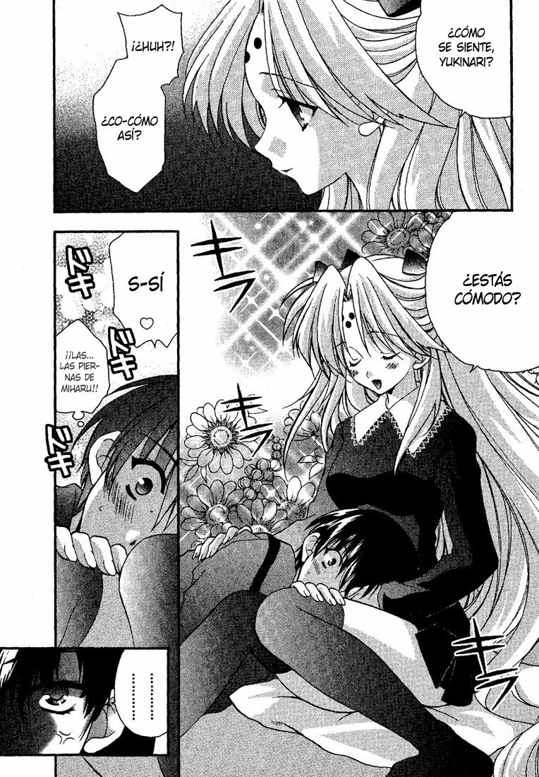 Girls Bravo (Araña Fansub)